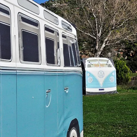 Cornelia Hippie Magic Bus